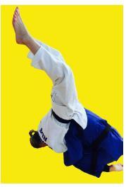 których tori wykonuje rzuty: Seoi-otoshi (seoi-nage z kolan) Sode-tsurikomi-goshi gdzie uchwyt jest