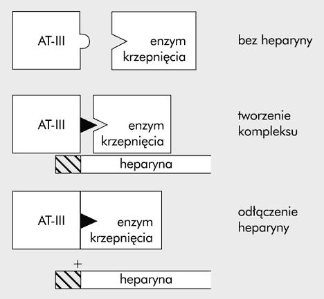 Leczenie przeciwkrzepliwe w DIC Zastosowanie heparyny w DIC jest kontrowersyjne. Brak jednoznaczej przewagi UFH nad LMWH.