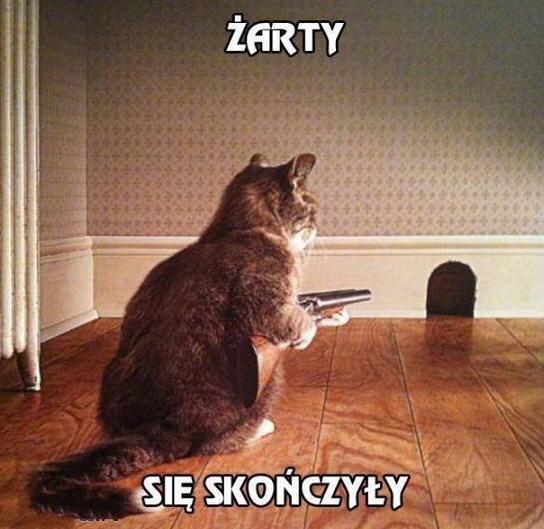 Egzamin państwowy Organizowany przez
