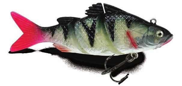 live kickin' perch Njwżniejsze cechy: Prmetry: