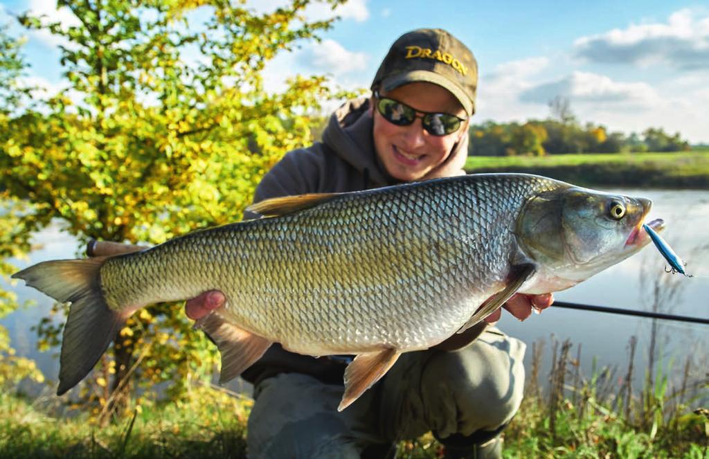 SPARKY SHAD Klasyczny crankbait o nietypowym przekroju poprzecznym (Delta Δ).