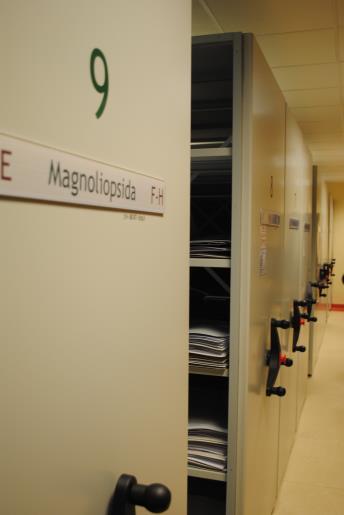 Informacje o herbariach Partnerów: SZUB (Uniwersytet Szczeciński) - zielnik roślin