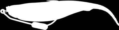 Przy odpowiednio dobranym u i obciążeniu (polecamy raczej lekkie główki lub i typu swimbait) Jerky potrafi zdecydowanie skręcić w bok od kierunku prowadzenia, kiedy przestaniemy zwijać linkę.