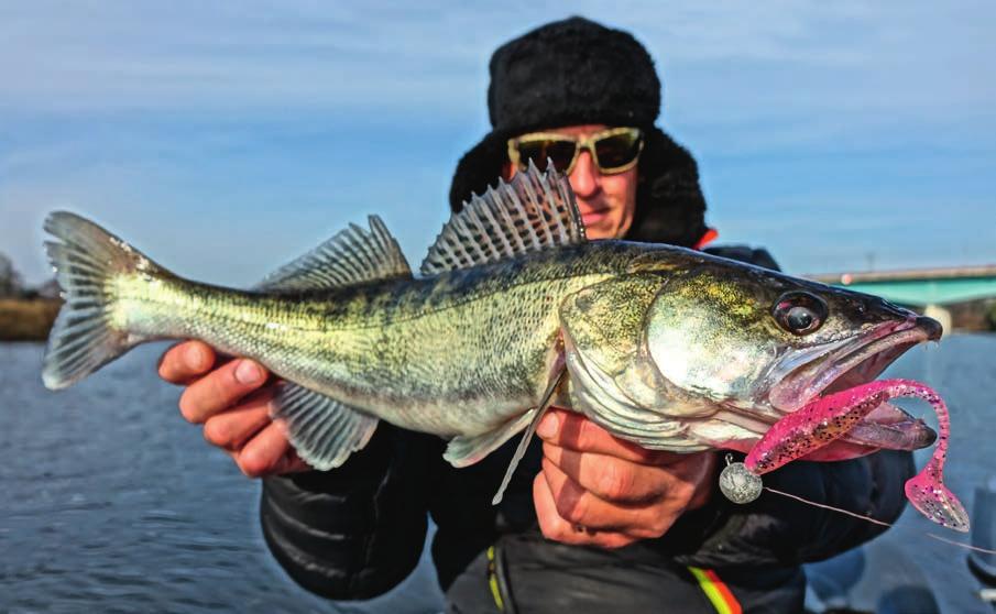 BELLY FISH PRO W naszym testerskim teamie mamy kilku zawziętych pstrągarzy i to od nich wyszedł pomysł brzuchatej rybki, bo tak dosłownie należy tłumaczyć nazwę tej przynęty.
