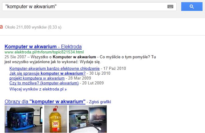 Dosłowna fraza Google stara się znajdowad strony zawierające słowa kluczowe w dowolnej