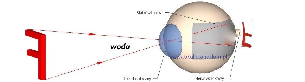 Aby stworzyć warunki do wyraźnego widzenia pod wodą musimy przed gałką oczną utworzyć środowisko powietrzne czyli takie jak na powierzchni.