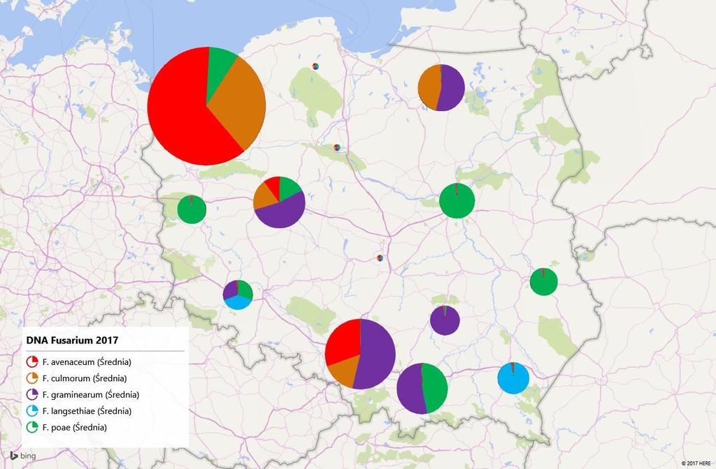 udział DNA gatunku (%) Zawartości DNA Fusarium w ziarnie pszenicy ozimej oraz frekwencja gatunków Fusarium w roku 2016 Średnio: 193 pg DNA Fusarium na 1 mg DNA