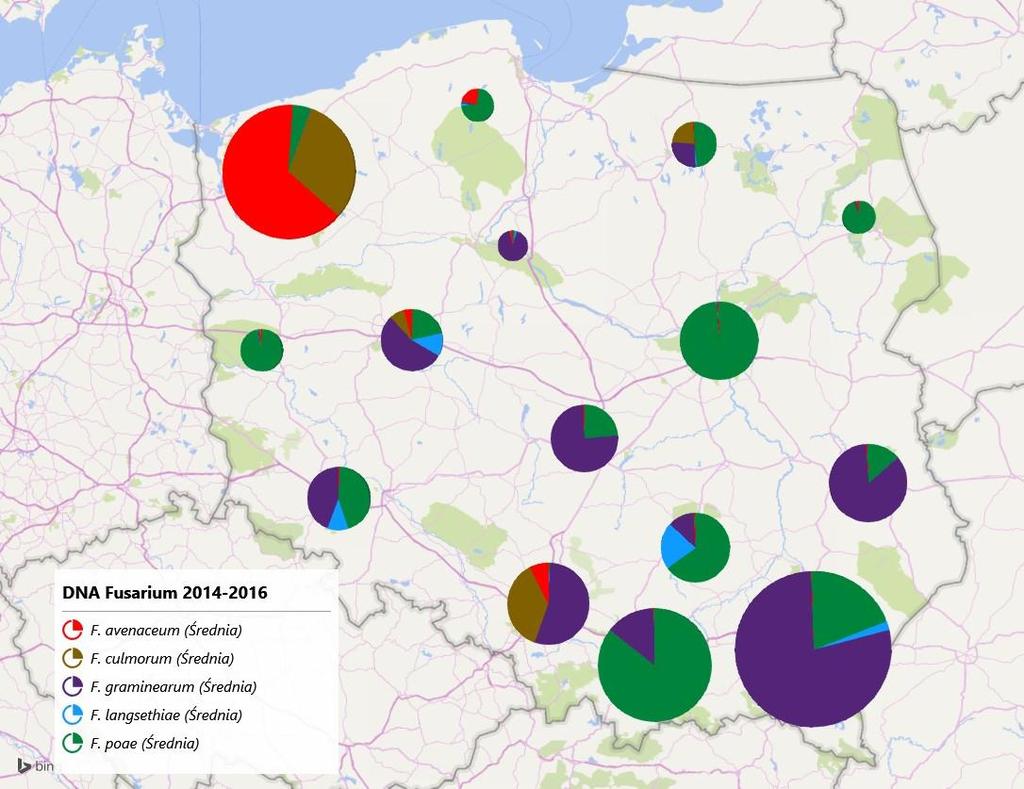 Najwięcej biomasy Fusarium w ziarnie występowało w latach 2014 i 2015 próbach z południowo-wschodniej i południowej Polski, natomiast w roku 2016 w próbach z północnozachodniej i południowej Polski.