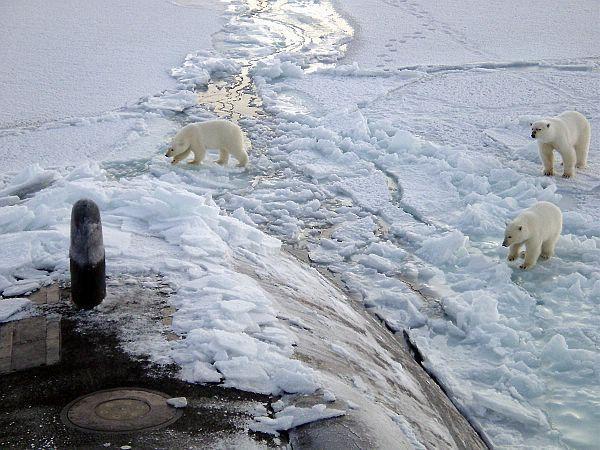 Podsumowanie 3/3 Od 1993 widoczne jest napełnianie się wnętrza Oceanu Arktycznego ciepłą wodą Atlantycką. Jednocześnie Północny Atlantyk staje się coraz słodszy.
