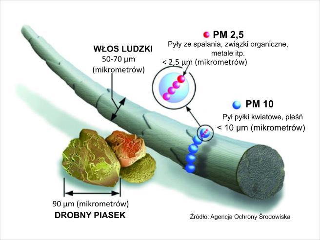 NISKA EMISJA GŁÓWNE ZANIECZYSZCZENIA PYŁY ZAWIESZONE (PM 10, PM