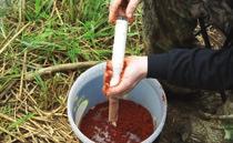 znęty gruntowej, biłych robków i