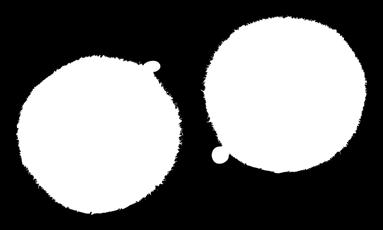 3,15 ACS 550161 110 3,90 ACS 550162 130 4,60 Prmetry: Wg (g) OZ ACS 550163 100 3,50 ACS 550164