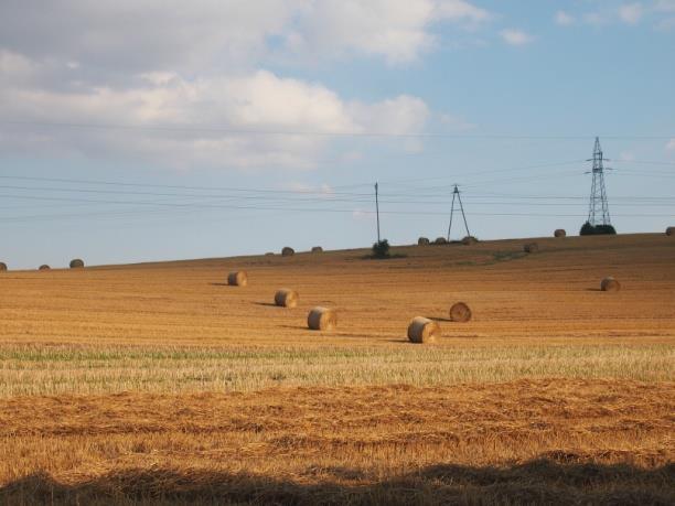 zastawkowy na Potoku Cisek (Jaborowice) Cennym,