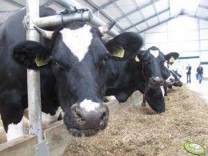 .pl Źródło: AgroFoto.