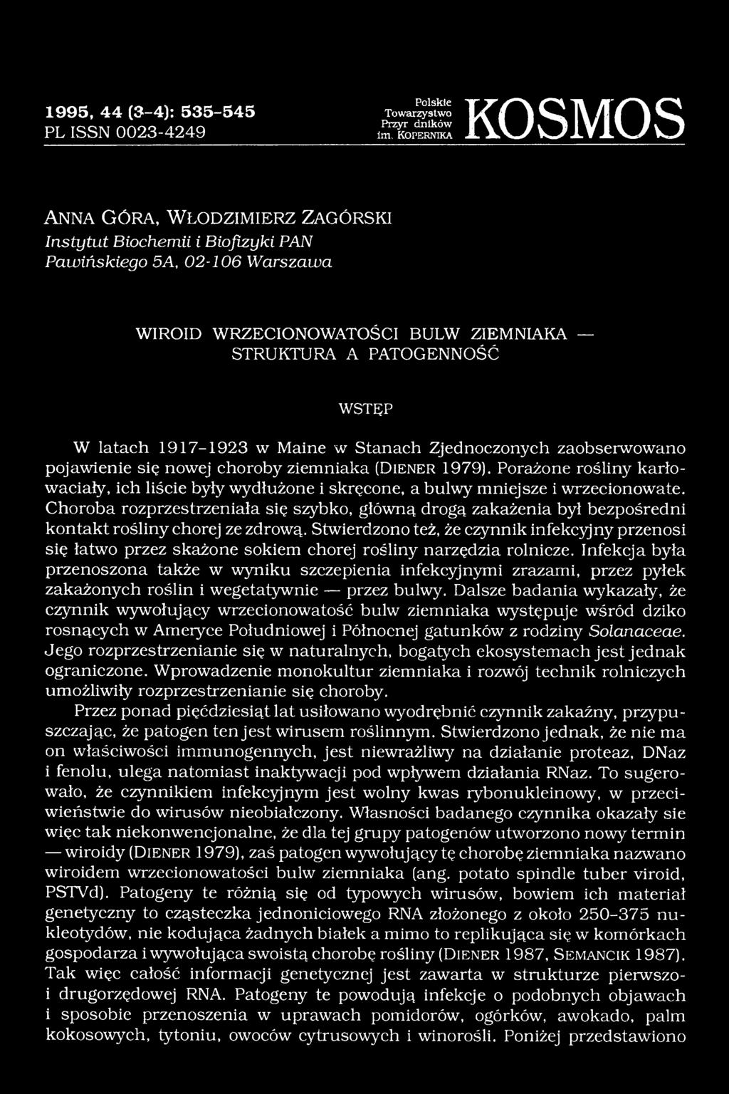 Porażone rośliny karłowaciały, ich liście były wydłużone i skręcone, a bulwy mniejsze i wrzecionowate.