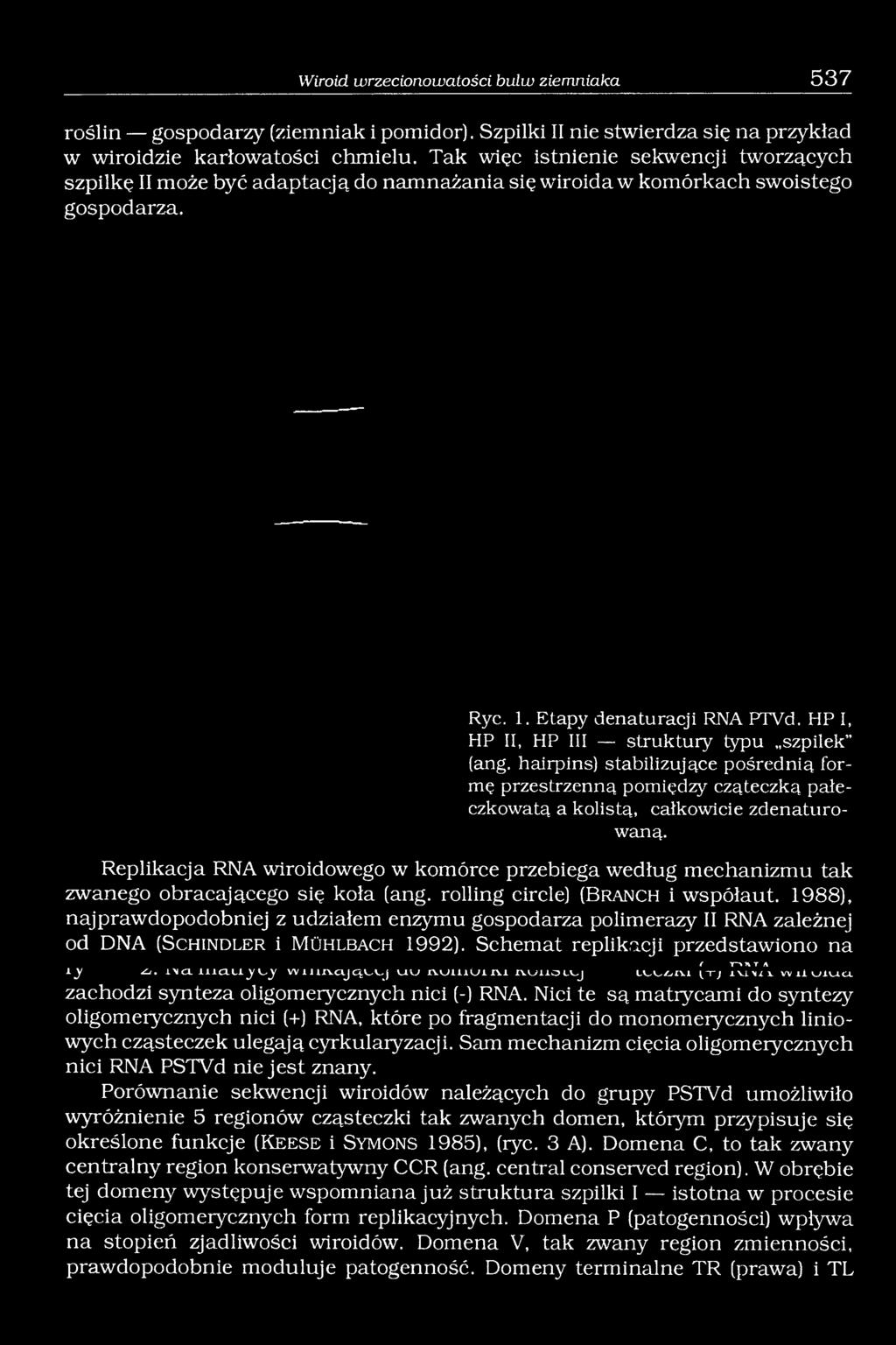 HP I, HP II, HP III struktury typu szpilek (ang. hairpins) stabilizujące pośrednią formę przestrzenną pomiędzy cząteczką pałeczkowatą a kolistą, całkowicie zdenaturowaną.