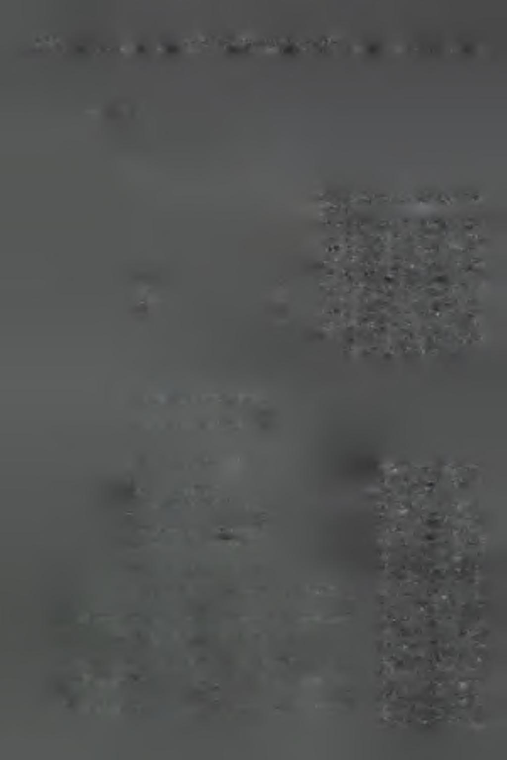 538 A n n a G ó r a, W ł o d z im ie r z Z a g ó r s k i Ryc. 2. Schemat replikacji RNA PSTVd.