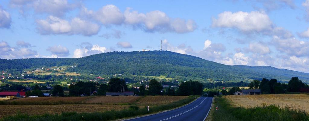 Wyżyny Polskie: obejmują ok. 36 400 km2 (prawie 12% powierzchni Polski). są nieznacznie wypiętrzonym przedmurzem północnej części łuku karpackiego tworzą tzw.