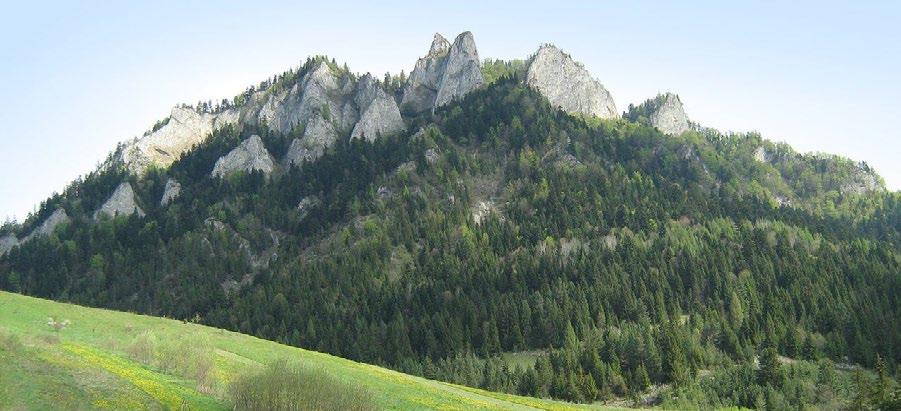 Geologia i geomorfologia: Karpaty Zewnętrzne (Karpaty Zachodnie i Wschodnie): są zbudowane z tzw.