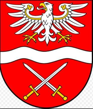POWIATU SOCHACZEWSKIEGO ZA