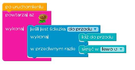 Inny rodzaj instrukcji warunkowej.