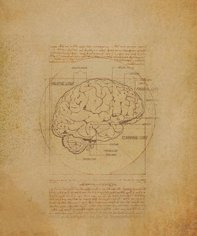 REVIEW ARTICLE / ARTYKUŁ POGLĄDOWY Adv Psychiatry Neurol 2017;