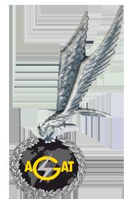 ODZNAKA PAMIĄTKOWA JEDNOSTKI Odznakę pamiątkową Jednostki stanowi sylwetka orła na wzorze odznaki