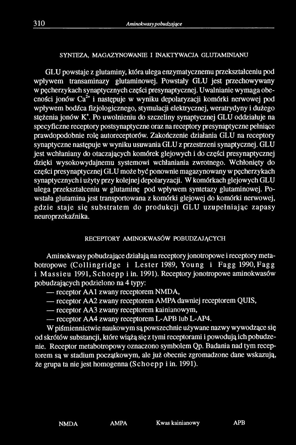 Uwalnianie wymaga obecności jonów Ca2+ i następuje w wyniku depolaryzacji komórki nerwowej pod wpływem bodźca fizjologicznego, stymulacji elektrycznej, weratrydyny i dużego stężenia jonów K+.
