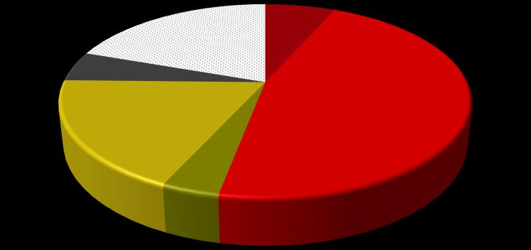 Quercus TFI 5,00% Pozostali akcjonariusze 19,65% Nolmanier Limited 18,48% Andrzej Dadełło - bezpośrednio 6,67% DSA FG SA 46,35% Adam Gilowski - bezpośrednio 3,85% Struktura akcjonariatu na dzień 1