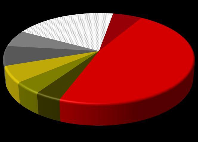 Quercus Absolute Return FIZ 7,06% Pozostali akcjonariusze 19,91% Andrzej Dadełło - bezpośrednio 5,83% Quercus Parasolowy SFIO 6,00% Nolmanier Limited 5,87% Crewland Limited 4,28% Adam Gilowski -