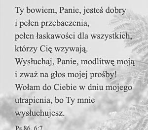May the Holy Spirit sustain those who are sick, suffering and sorrowing of all ages, especially: Niech Duch Święty wzmacnia wszystkich chorych i cierpiących, szczególnie: Rev.