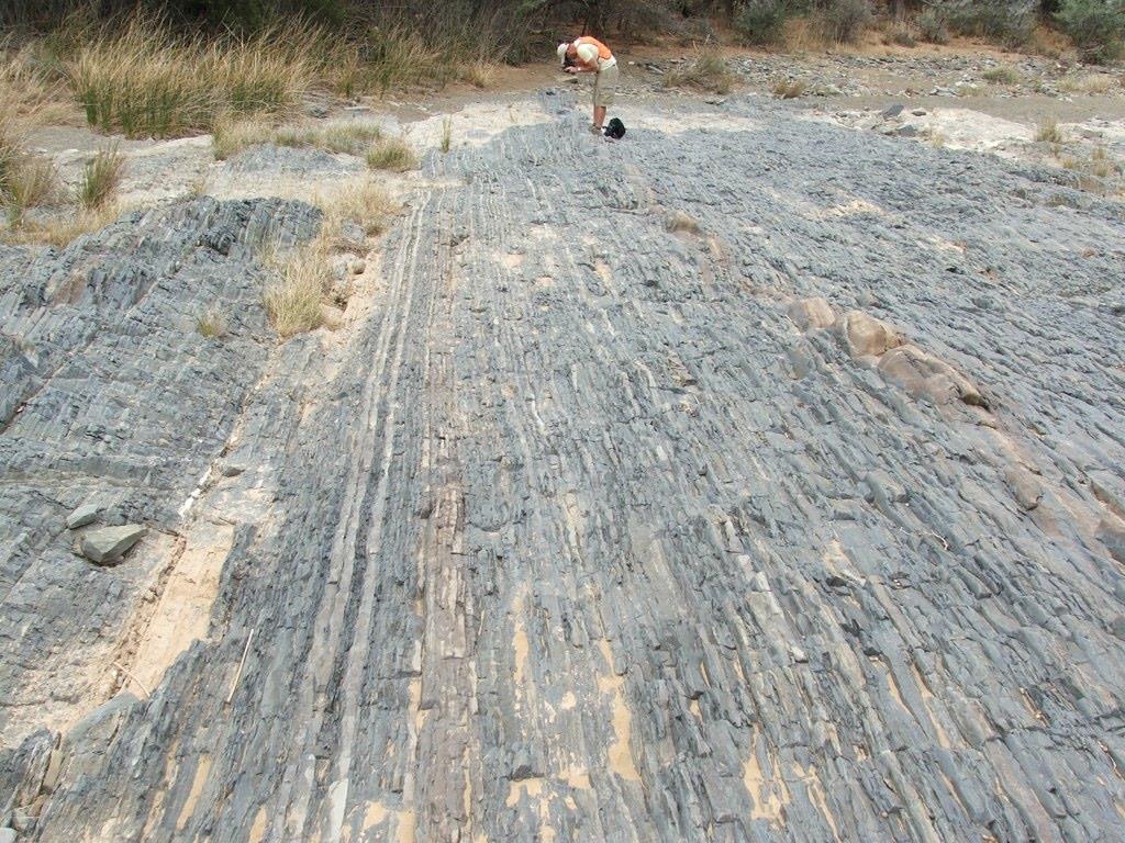 (turbidyty) Perm, Basen Karoo,