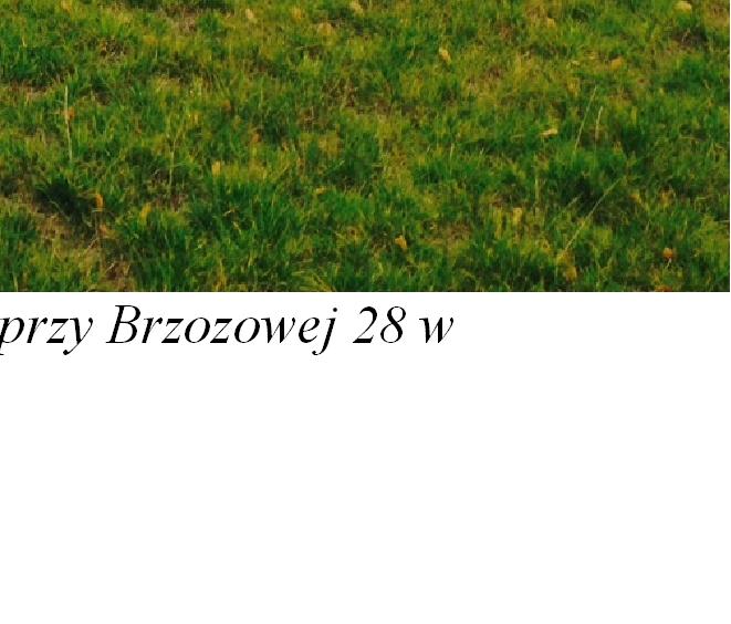 Wyższy znajduje się obok budynku a niższy od strony ulicy brzozowej (zdj. nr1).
