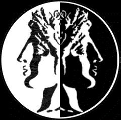 Janusowe oblicza internacjonalizacji Plusy ujemne Drenaż mózgów Nieuczciwa konkurencja Koszty Skutki psychologiczne
