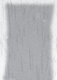 g 139 199