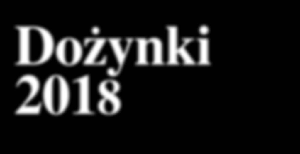 Usprawnienie administracji Plany na kolejną kadencję Koncepcja