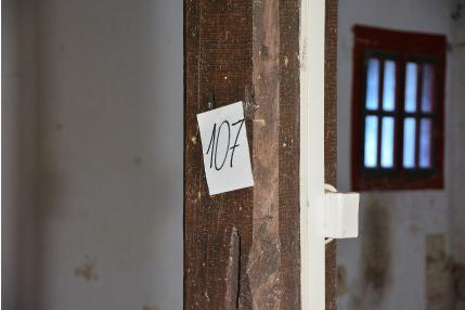 Żerowisko jest nieaktywne. Drewno jest zawilgocone W drewna = 13,1%.
