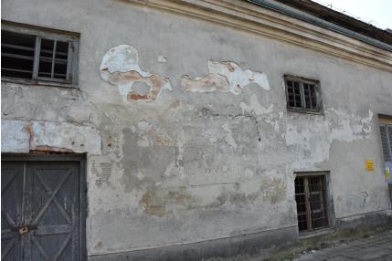 Fotografia nr 6 - W obrębie cokołu występują niewielkie ilości alg i
