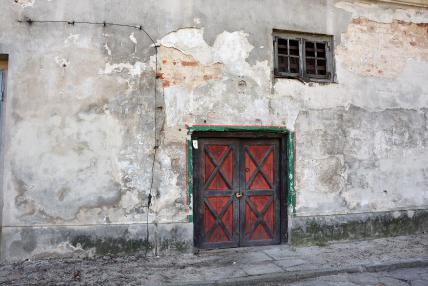 Fotografia nr 8 W obrębie cokołu występują niewielkie ilości alg i porostów.