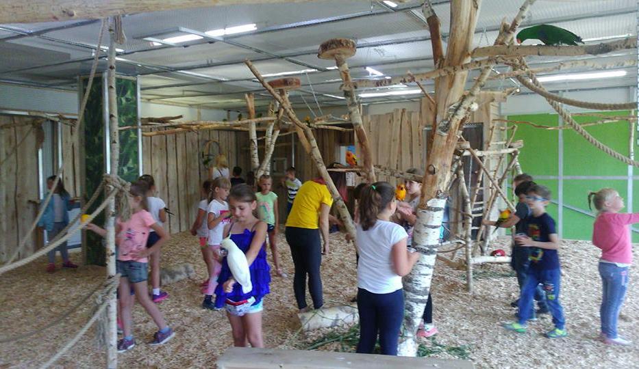 nakarmić i dotknąć papugi różnych gatunków Następnie udali się do Fabryki Misia, która znajduje się w centrum zabaw Aktywnie