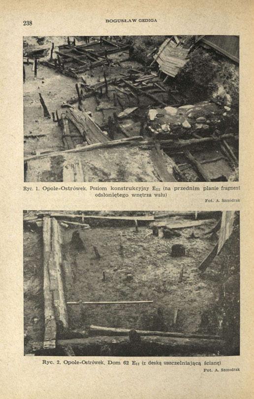 238 BOGUSŁAW GEDIGA Ryc. 1. Opole-Ostrówek.