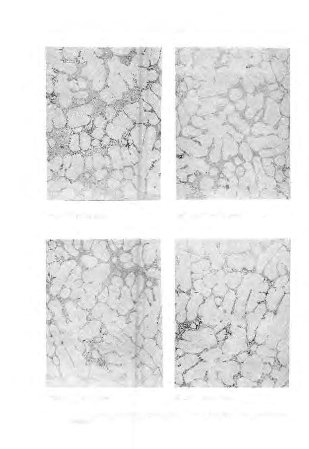 72 Jadwiga Sakwa Mg 0,31 Na 60 ppm Mg 0,44