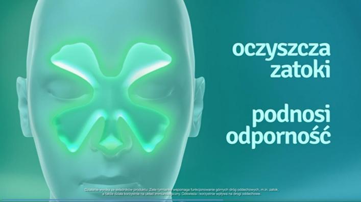 RenoPuren Zatoki Junior sugerowały, że te