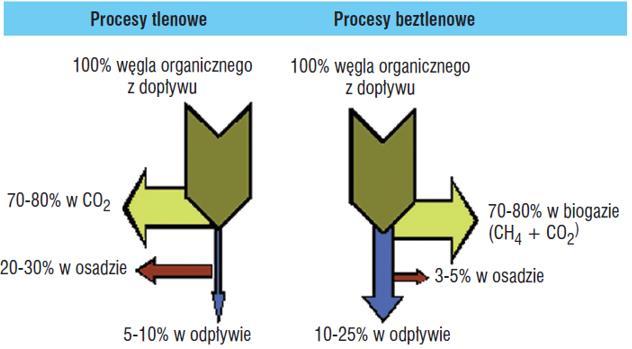 4.6. Analiza procesów technologicznych Browaru Namysłów, ze względu na charakterystykę ścieków browarnianych,