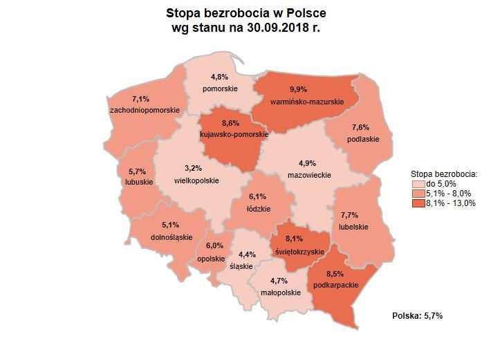 Opracowała: Dorota Gabryelczyk Wydział Pomorskiego Obserwatorium Rynku Pracy