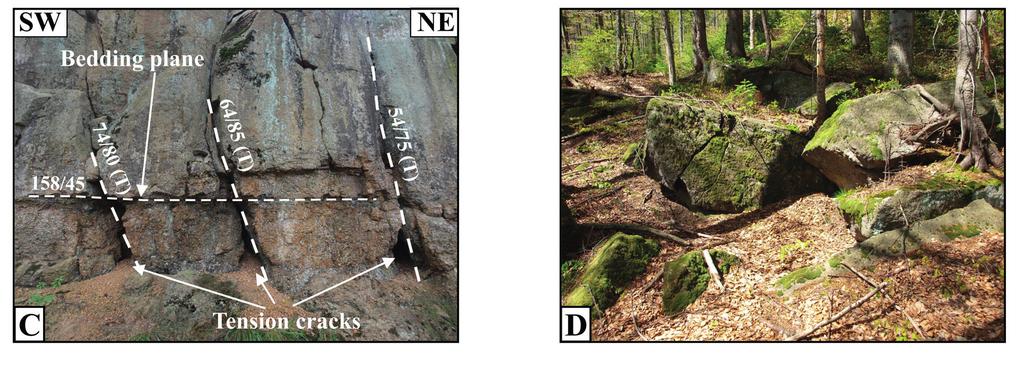 BWLC is assumed to represent a downthrown side of a normal fault, and the particular colluvium elements to represent blocks downthrown and rotated on secondary slip surfaces.