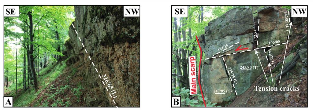 Photos (located in Figure 9) showing the typical morphological elements of the Biała Wisełka Landslide Complex and bedrock outcrops with tectonic structures.