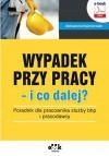 Szkolenie wstępne Instruktaż stanowiskowy Szklarz budowlany (e-book) wzorcowy program szczegółowy dla stanowiska pracy SZKLARZ BUDOWLANY.