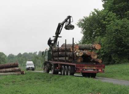 drewna, które jest przygotowane do wywózki. Pismem z dnia 06.08.2015 r. (WPN.6401.223.