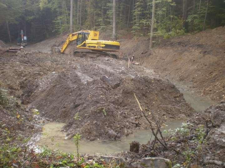 Uznał, że pewne oddziaływanie na biegacza urozmaiconego było, ale nie było ono znaczne.